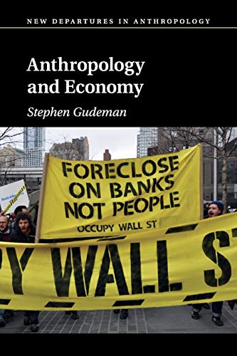 Anthropology and Economy (New Departures in Anthropology)